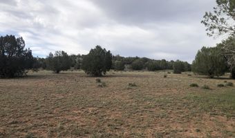 302-17 306 Haywire Rd, Ash Fork, AZ 86320
