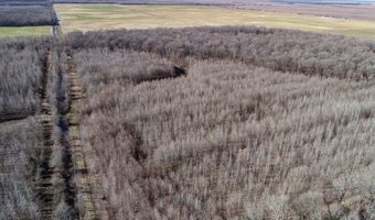 6075 Curtis Rd, Batesville, MS 38606