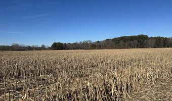 0 Bivalve Lodge Rd, Bivalve, MD 21814