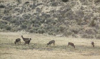 2335 Crowley-Riverside Rd, Arock, OR 97902