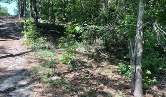 Madelyn Drive 1.18 Acre, Burnettown, SC 29829