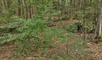 Lot 36 Mauhaut Shores Road, Alton, NH 03810