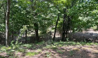 002 Maxey Rd, Arcadia, MI 49613