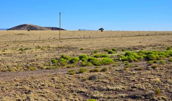 CR 5074 lot 4, Concho, AZ 85924