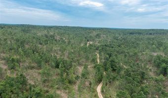 Tract 1 Hidden Valley, Annapolis, MO 63628