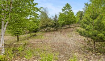 15380 Lake Bluff Dr, Arcadia, MI 49613