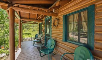 84 County Road 113 S, Allenspark, CO 80510