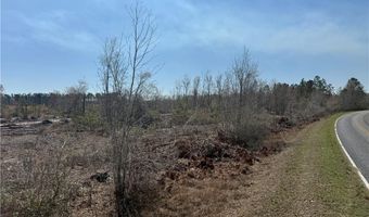 0 35.01 Acres Bacon School Rd, Alma, GA 31510