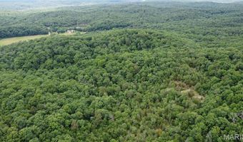 13 Hidden Vly Lks, Annapolis, MO 63620