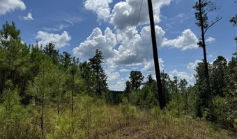 08 Adams Rd, Bankston, AL 35542