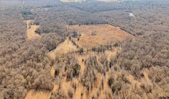 TBD CR 4650, De Kalb, TX 75559