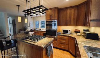 302 Roaring Fork Dr, Aspen, CO 81611