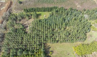 Three Trees Ln, Amity, OR 97101