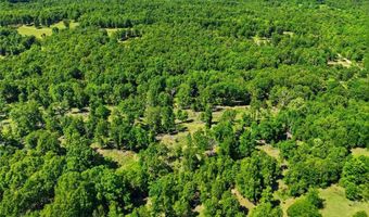 210 County Road 320, Alton, MO 65606