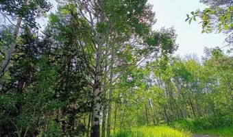 1355 S Timberline Rd, Ashton, ID 83420