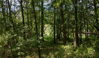 28 Mile Rd, Albion, MI 49224