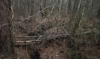 Piney Mountain Road lot 7, Appomattox, VA 24522