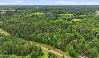 Vine Drive, Brandon, MS 39047