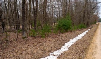 Dover Drive lot 1 14 Ac, Adams, WI 53910