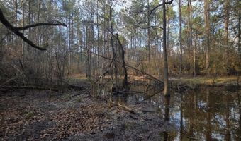 U.S. Highway 51, Bogue Chitto, MS 39629