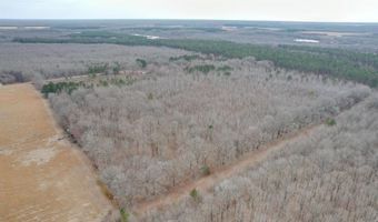 Williams Road, Bald Knob, AR 72010