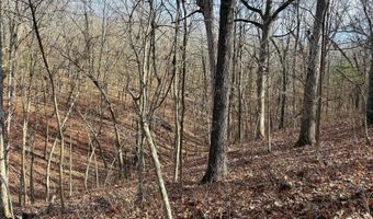 Farm Rd 1187 Lc, Ash Grove, MO 65604