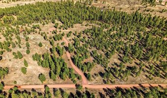 N2147, Alpine, AZ 85920