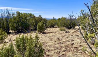 74 County Road 8056, Concho, AZ 85924
