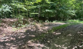 Sunny Court, Baneberry, TN 37890