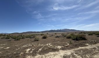 006-066 01 Star Peak Rd, Imlay, NV 89418