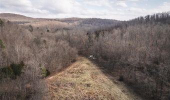 760 County Road 203, Annapolis, MO 63620