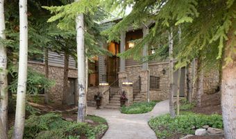 205 LARKSPUR Ln, Aspen, CO 81611