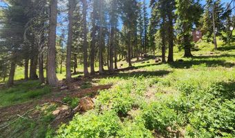 332 Snowshoe Rd, Bear Valley, CA 95223
