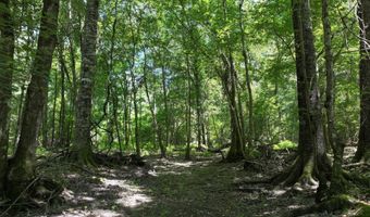 Highway 112, Abbeville, GA 31001