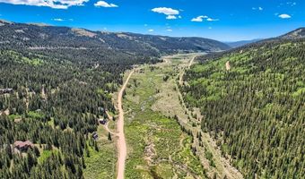 553 Nuthatch Dr Lot 18, Alma, CO 80440