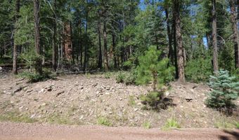 9 County Road 2073, Alpine, AZ 85920