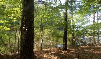 12 RIVERVIEW Ct, Lincolnton, GA 30817