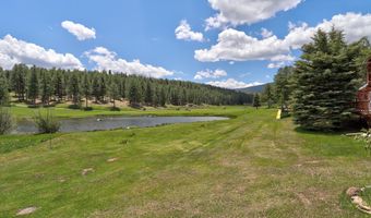 13 Woodlands, Angel Fire, NM 87710