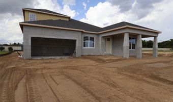 3206 WOLF LAKE Ave, Apopka, FL 32712