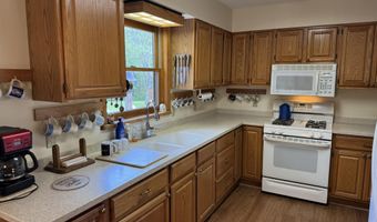 6955 Cedar Rd, Alanson, MI 49706