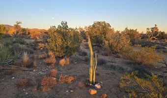 2624 S Gold Mine Rd, Yucca, AZ 86438