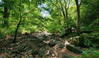 County Road 200, Alton, MO 65606