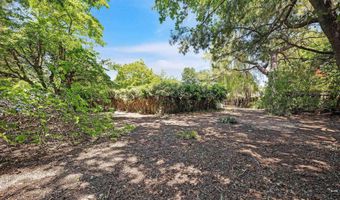 51 Bolla Ave, Alamo, CA 94507