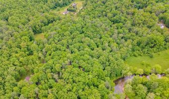 3 19 ACRES LOT 30 DEER LANE BOSTON VA, Boston, VA 22713