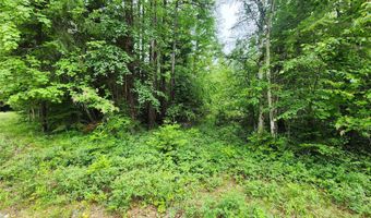 13727 Big Hawk Dr, Bigfork, MT 59911
