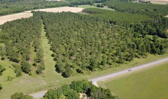 0 S County Road 33, Ashford, AL 36312
