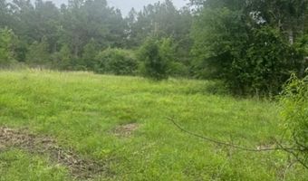 FM 2501, Apple Springs, TX 75965