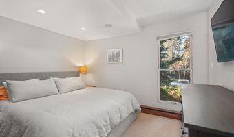 910 W Hallam St 11, Aspen, CO 81611