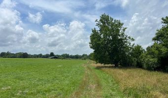 420 Sheffield Rd, Adamsville, TN 38310