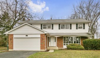 3543 Ionia Ave, Olympia Fields, IL 60461
